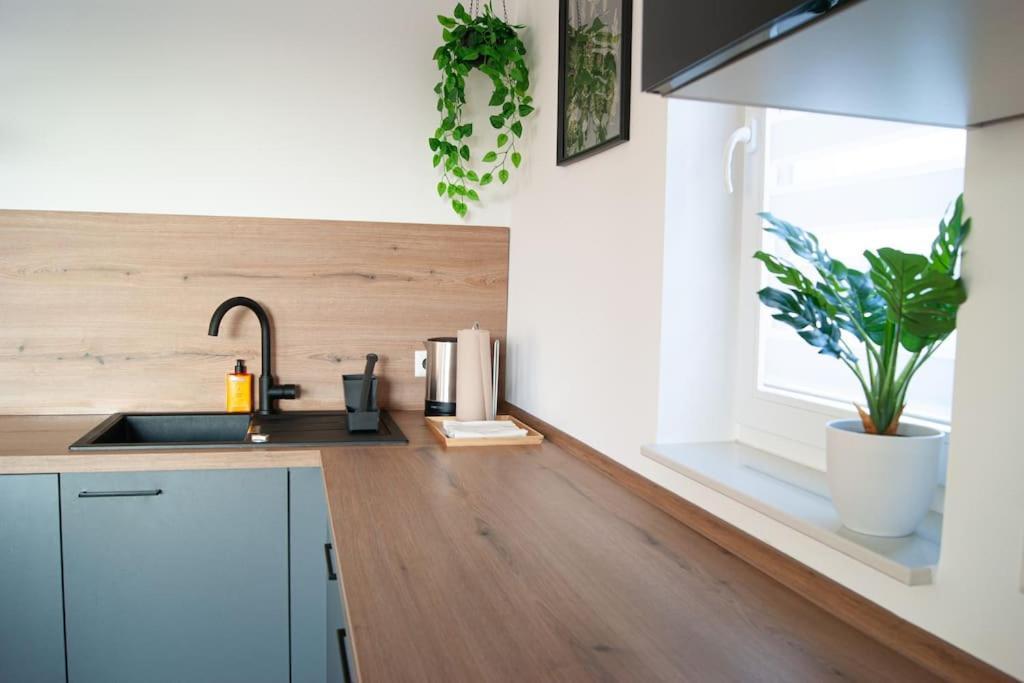 Studio Apartment Marbach มาร์บาค อัม เนคคาร์ ภายนอก รูปภาพ